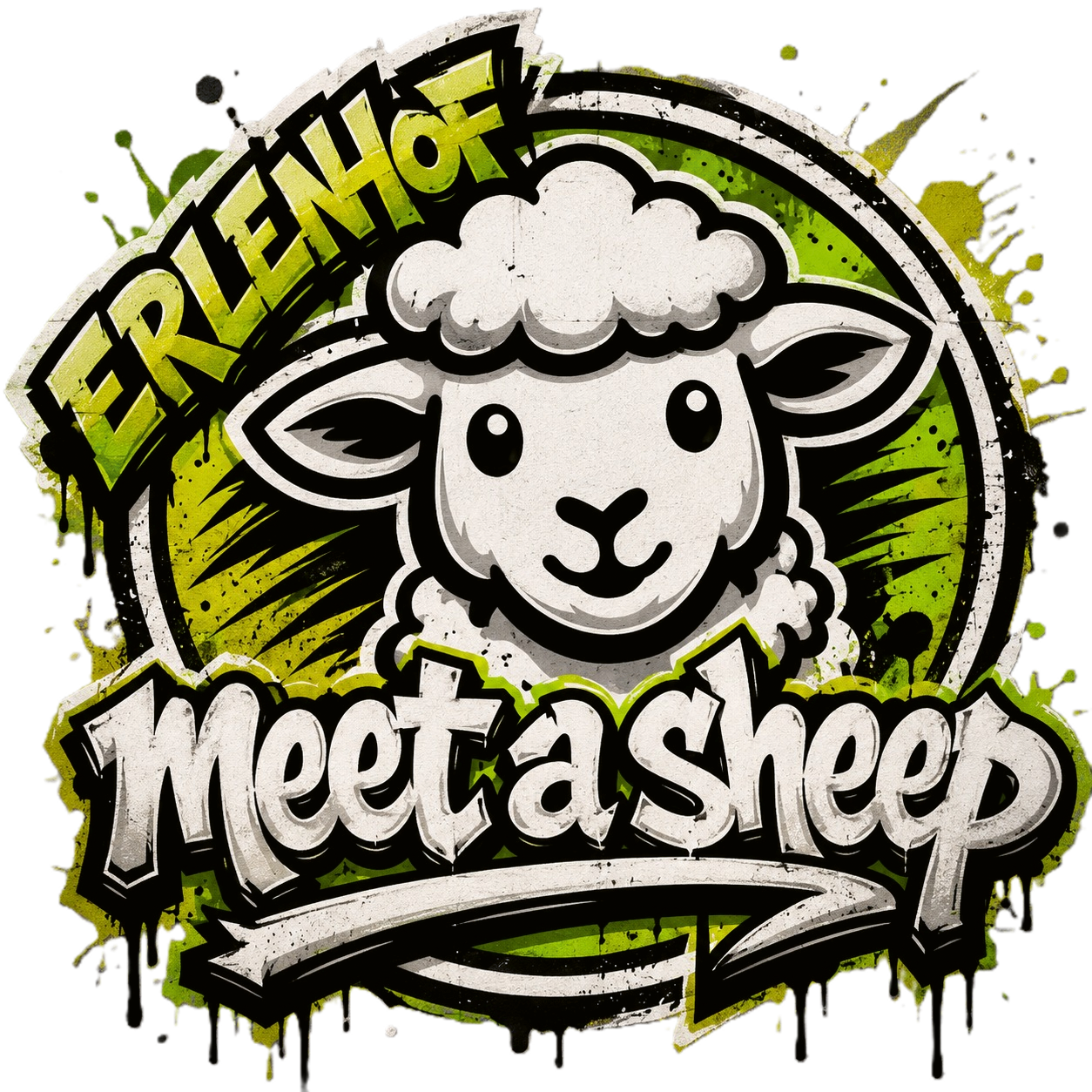 Meet a Sheep